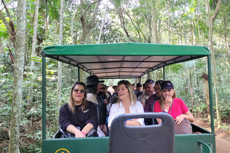 Iguazu Extreme Day: Sunrise, São João Trail & Macuco Safari