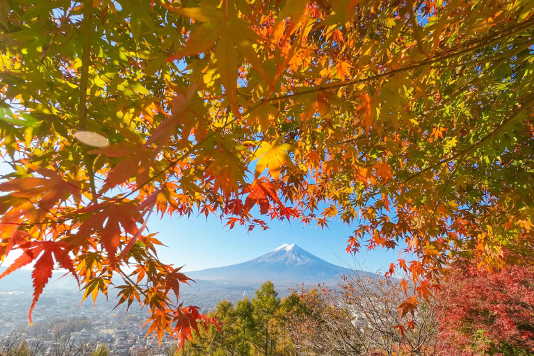 Tokyo: Private Daytrip to Mount Fuji - Fully Customizable Mt Fuji Private Luxury Van Tour (Customizable Experience)