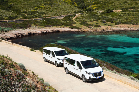 From Stintino: Asinara minivan tour