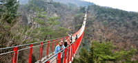 Aus Seoul, DMZ 3. Tunnel und Dora Observatory Guided Tour - Housity