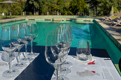 Douro Valley: Wine & Olive Oil Tour with Boat & Lunch Douro Valley: 2 Wineries, Boat Cruise & Traditional Lunch