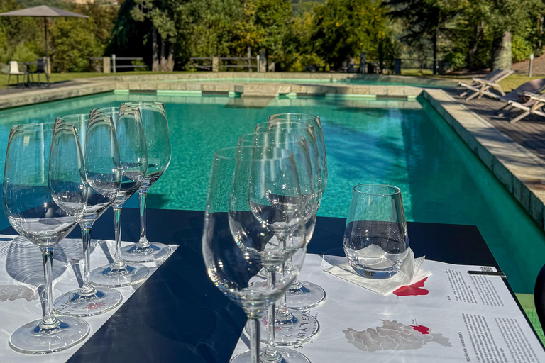 Douro Valley: Wine & Olive Oil Tour with Boat & Lunch Douro Valley: 2 Wineries, Boat Cruise & Traditional Lunch
