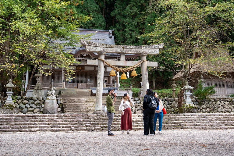 Kanazawa: Shirakawa-go privé-dagtour met lunch