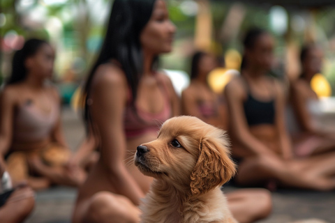 Bali Clase de Yoga para Cachorros en Canggu con Bebidas Refrescantes