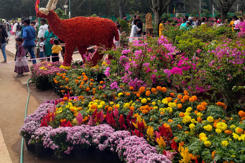Bengaluru: Rundvandring i Cubbon Park