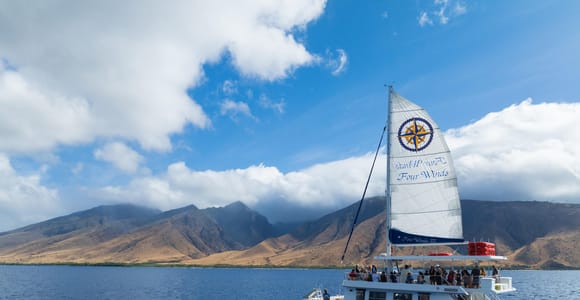 Maui: Snorkel Tour