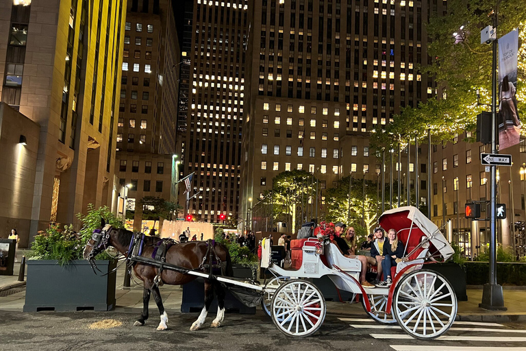 NYC: Passeio particular de carruagem a cavalo pelo Central Park com guiaPasseio particular de carruagem a cavalo pelas luzes de NYC ou pelas luzes de Natal