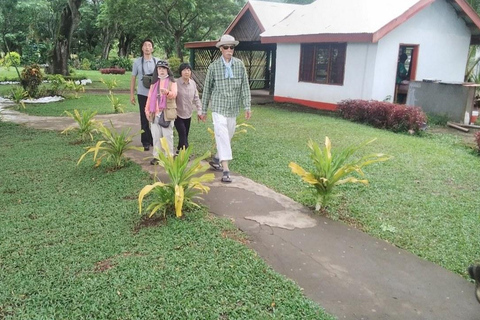 Ogród Śpiącego Olbrzyma z wycieczką do gorących źródeł Tifajek MudpoolHotele w Nadi / Port Denarau / Double Tree / Odbiór z Vuda