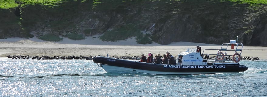 Dingle : Tour en bateau des merveilles des îles Blasket (Sea Life)