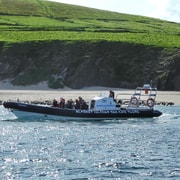 Dingle: Wonders of Blasket Islands Sea Life Boat Tour Dingle: Wonders of Blasket Islands Sea Life Boat Tour