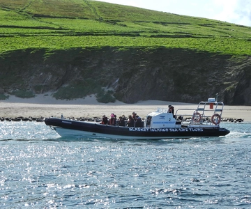 Dingle: Wonders of Blasket Islands Sea Life Boat Tour