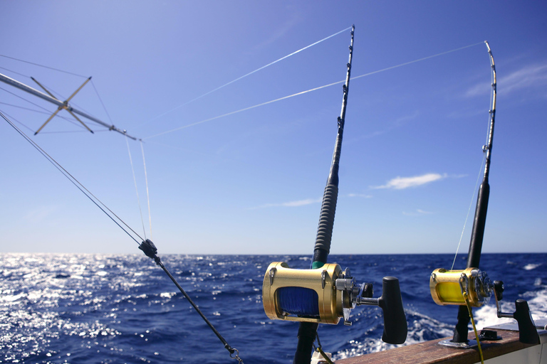 From Funchal : Big Game Fishing boat trip Half day private tour up to 10 people