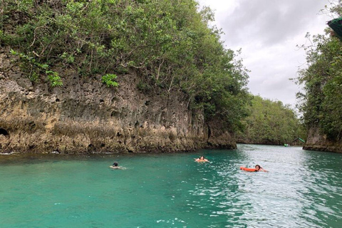 Cebu: Mantayupan Falls, Hermit's Cove & Bojo River Eco Tour Private Tour 1-4 Participants