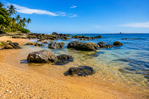 Los Cóbanos Beach: Tropical Day Trip Escape
