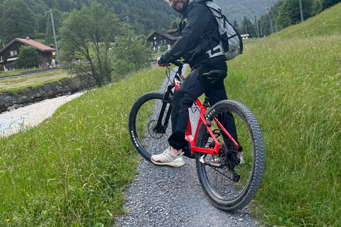 Interlaken: E-Bike Rental with Helmet and Lock