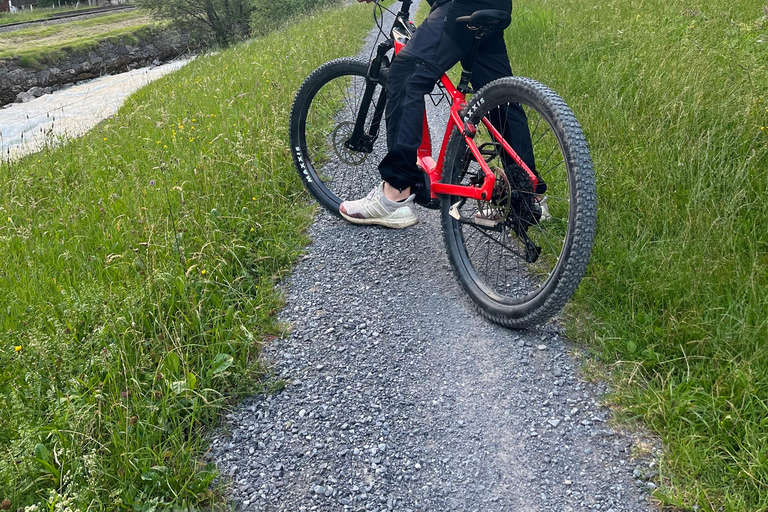 Interlaken: E-Bike Rental with Helmet and Lock