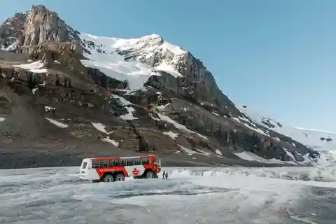 Icefield Parkway, Bow & Peyto Lakes Day Tour