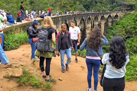 04 dni - lotnisko CMB, Kandy, wycieczka pociągiem, wizyta w Ella, safari