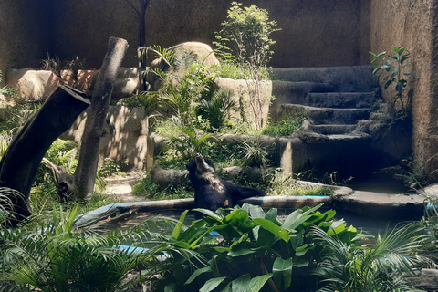 Río de Janeiro: Tour guiado por el BioParque con traslado