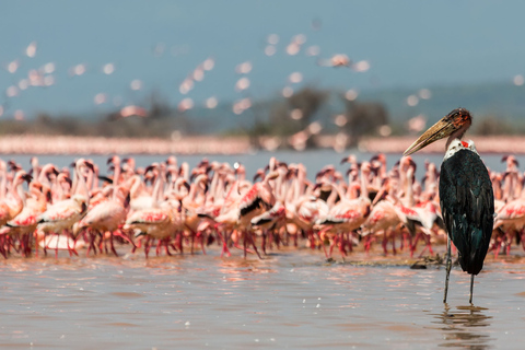 Tagestour zum Lake Naivasha, Cresent Island und Hell's Gate Park