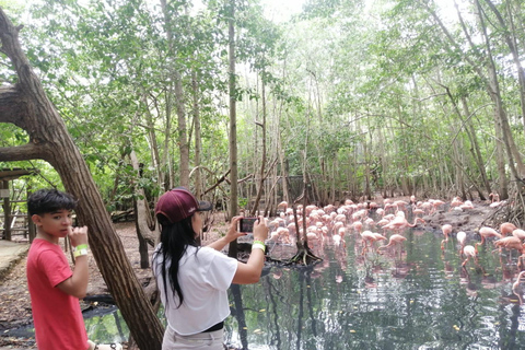 Cartagena: Aviary National Park Tour with Hotel Pickup