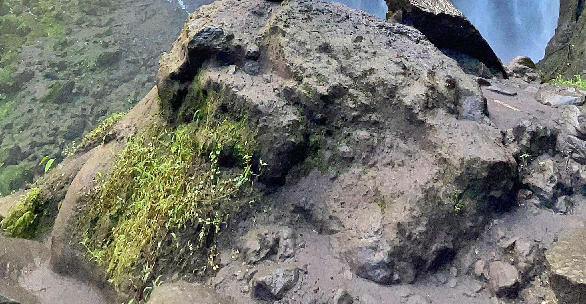 Rejoignez à Trip, 3D2N Tumpak Sewu-Bromo-Ijen Crater de Malang - Hizvo