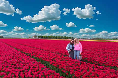 Amsterdam: Tulip Fields Day Tour with Lunch & Windmill