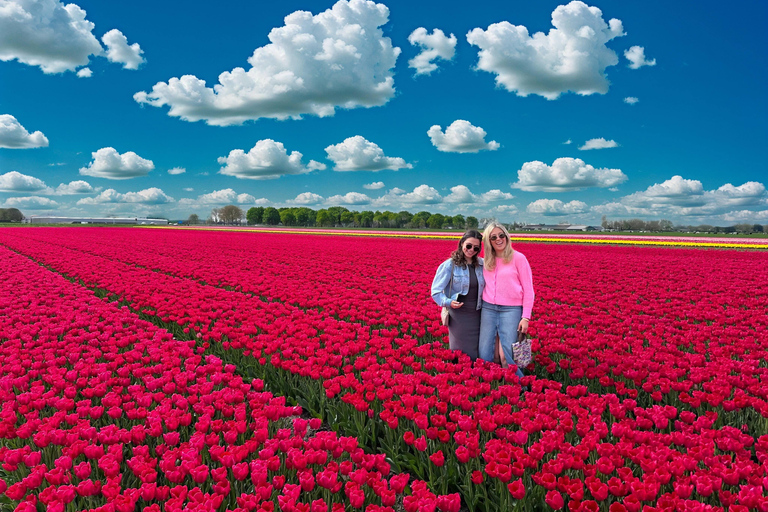 Amsterdam: Tulip Fields Day Tour with Lunch & Windmill