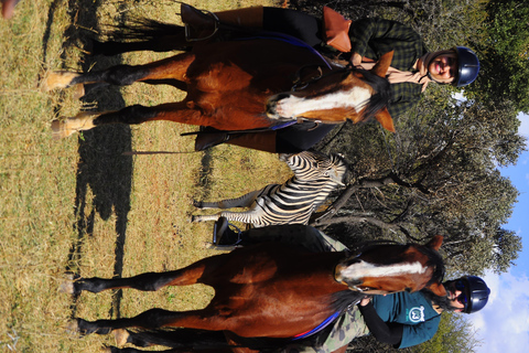 Magaliesberg Horseback Wildlife Safari From Johannesburg