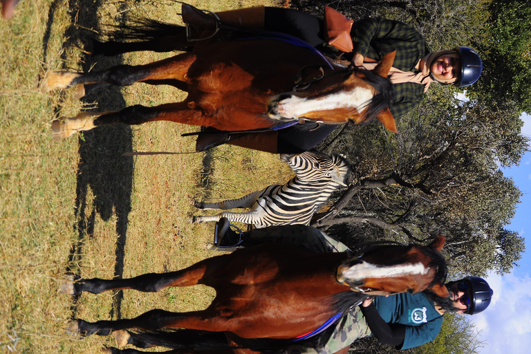 Magaliesberg Horseback Wildlife Safari From Johannesburg