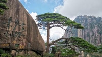 Tour privato di Huangshan a 3 giorni che include i biglietti - Housity