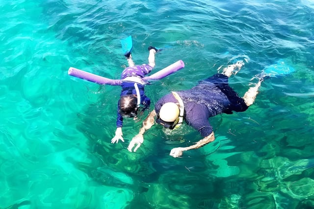 Snorkeling pentru începători în Miami, cu plecare de la Bayside Market Place