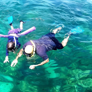 Miami Snorkeling for Beginners from Bayside Market Place