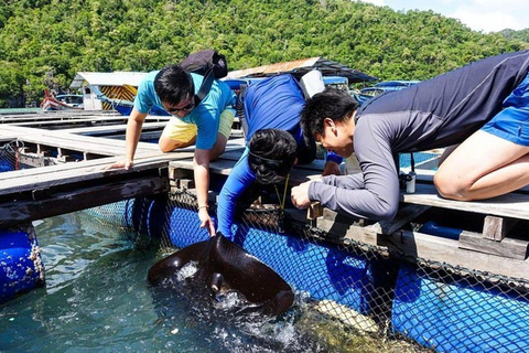 Langkawi: Kilim Nature Park Mangrove Boat Tour, UNESCO Site 3 Hours Mangrove Safari