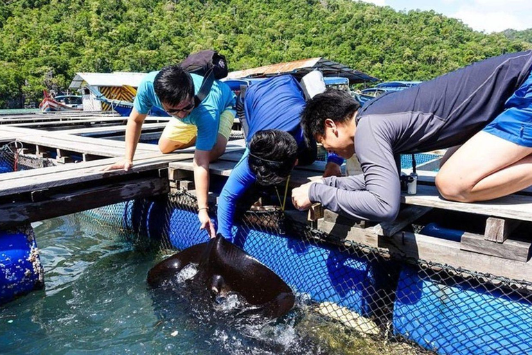 Langkawi: Kilim Nature Park Mangrove Boat Tour, UNESCO Site 3 Hours Mangrove Safari
