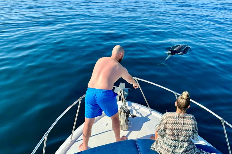 Malaga: Benalmádena Küste Delphinbeobachtung Bootsfahrt