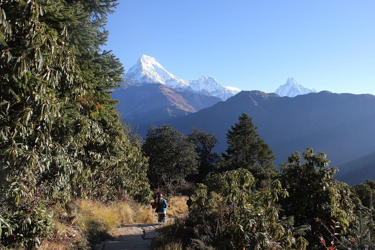 Pokhara: 3-Day Ghandruk Village Trek with Guide