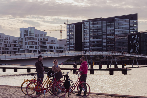 Köpenhamn: Arkitektur- och hållbarhetsresa