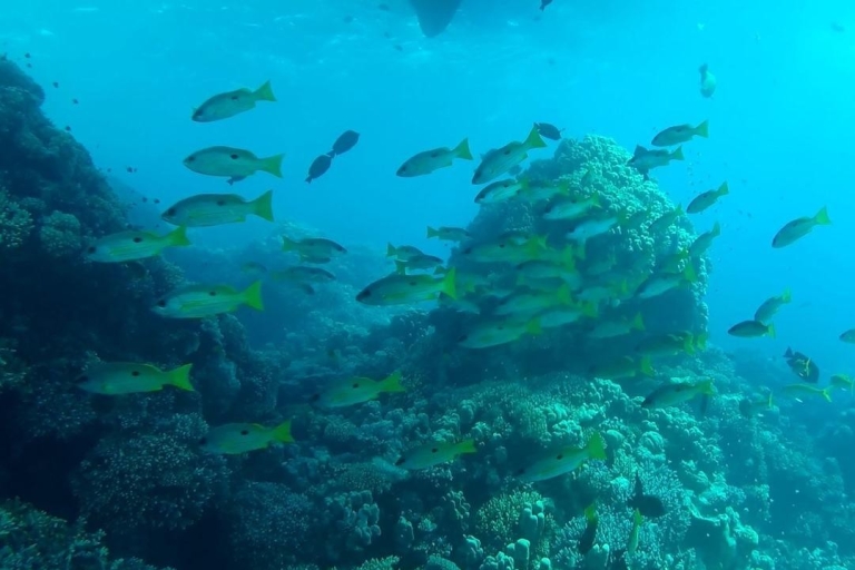 Hurghada: Crucero por la isla de Orange Bay y snorkel con almuerzo