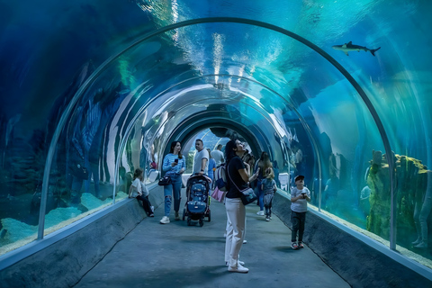 Łódź: City Highlights Private Tour & Orientarium Zoo Visit