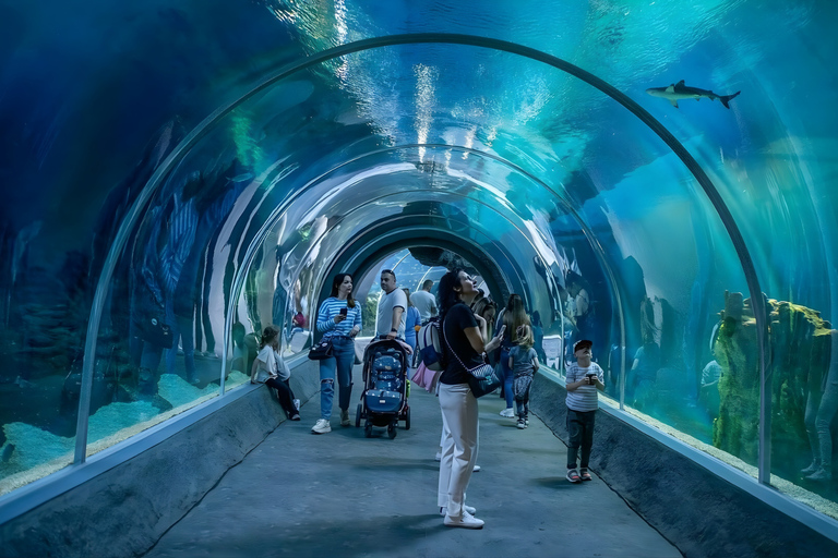 Łódź: City Highlights Private Tour & Orientarium Zoo Visit