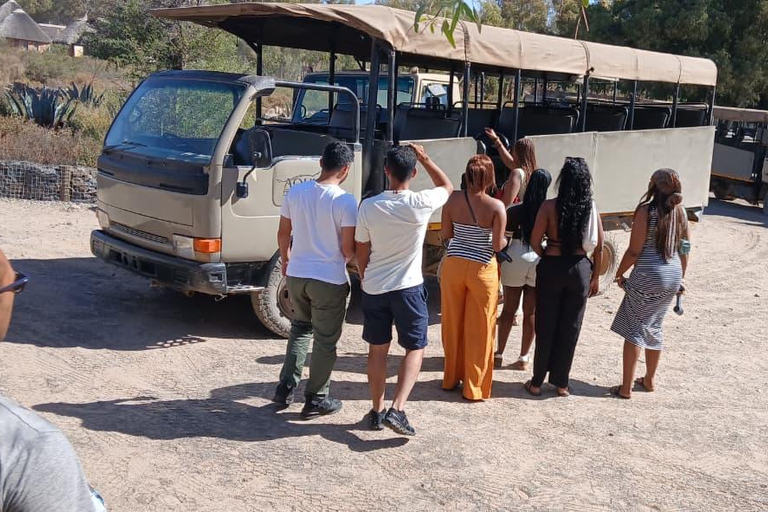 Cape Town: Aquila Game Reserve Safari with Buffet & Pickup