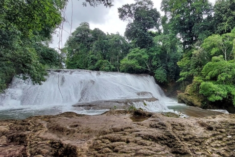 Desde Palenque: Excursión a Palenque y las Cascadas de Roberto BarriosPalenque con Roberto Barrios y Traslado a San Cristóbal