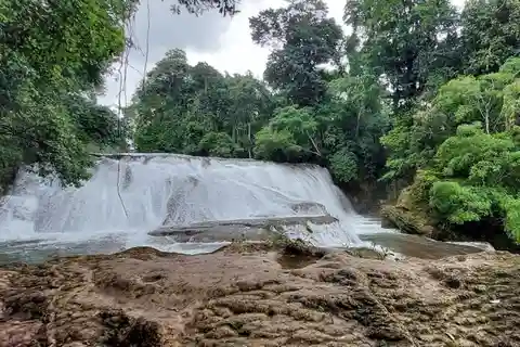 Au départ de Palenque : visite de Palenque et des chutes d'eau de Roberto Barrios