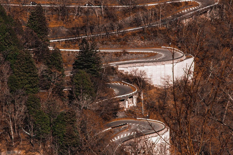 Nikko Private Day Tour with English Speaking Expert Driver