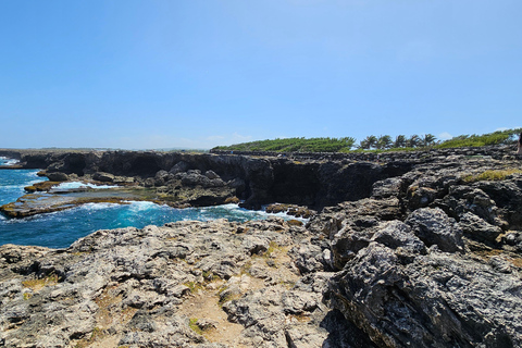 Barbados: Privat naturskön guidad tur