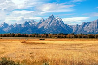 Visite de Yellowstone 4 jours Salt Lake City avec pick-up aéroportuaire - Housity