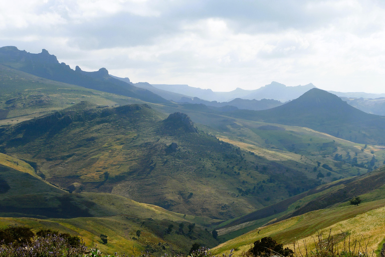 3-tägige Tour zum Bale Mountains Nationalpark mit Besuch in Addis Abeba