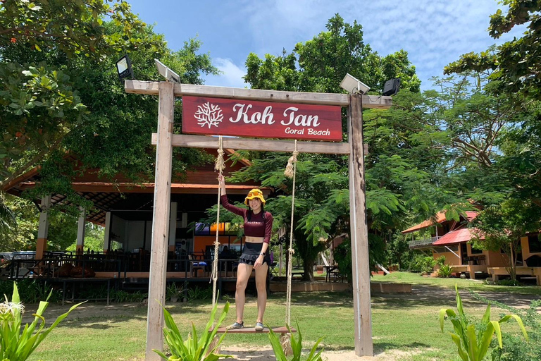 Koh Samui: Pig Island Tour by Speedboat with Snorkeling Private Tour or Cruise Ship Option