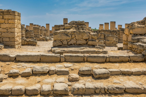 Tour di un giorno intero della città di Salalah4WD - 4 pax